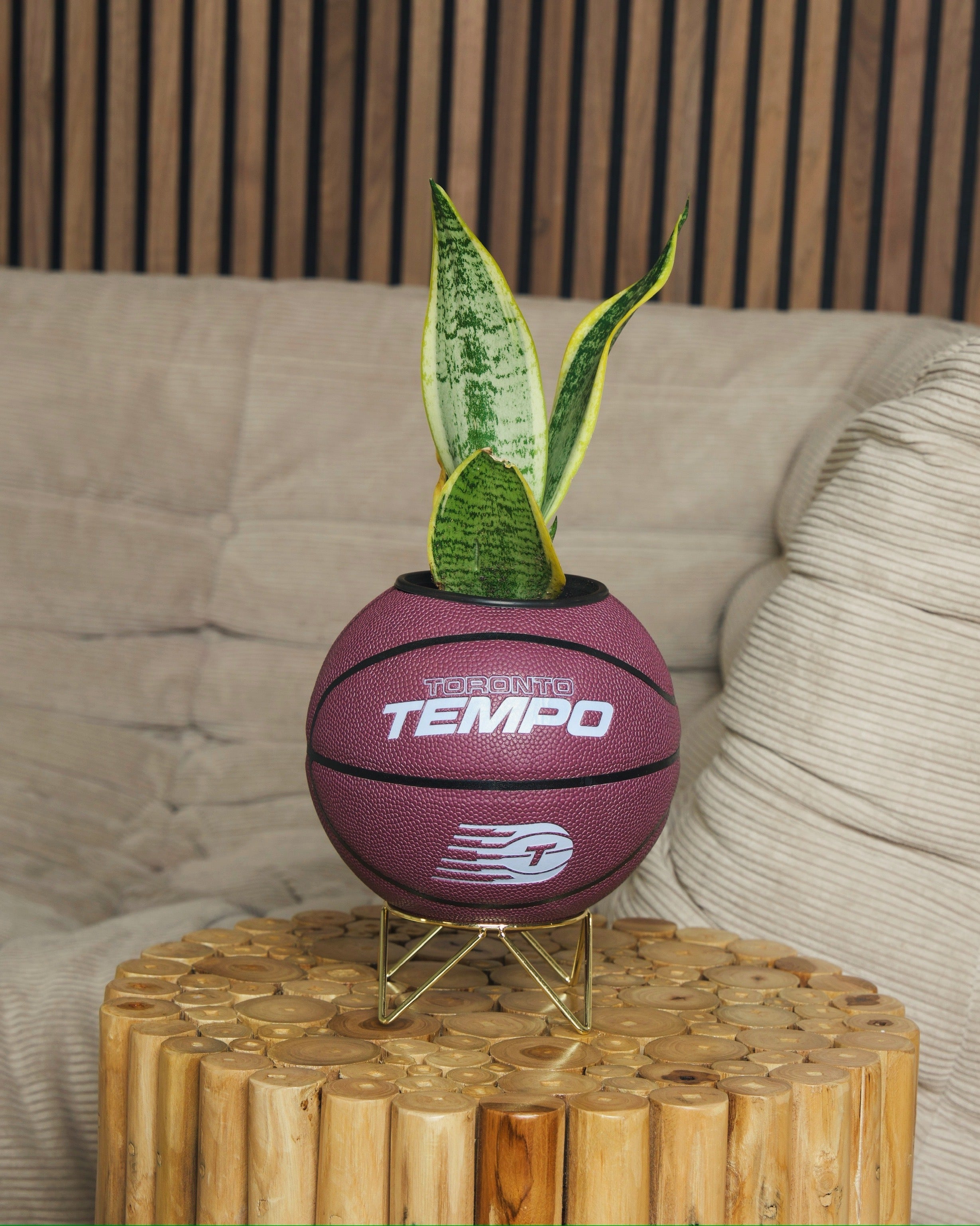 basketball plant pot The Toronto Tempo Planter (Bordeaux)