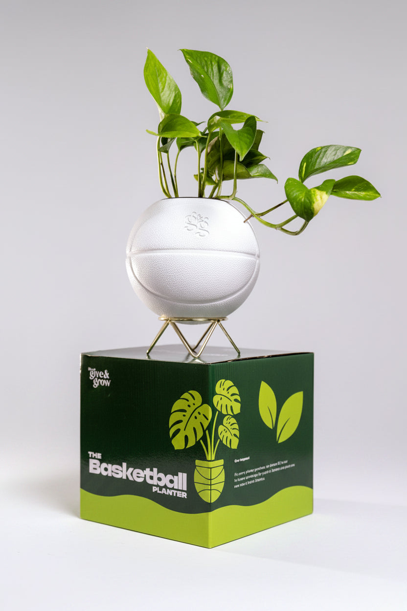 basketball plant pot The Basketball Planter
