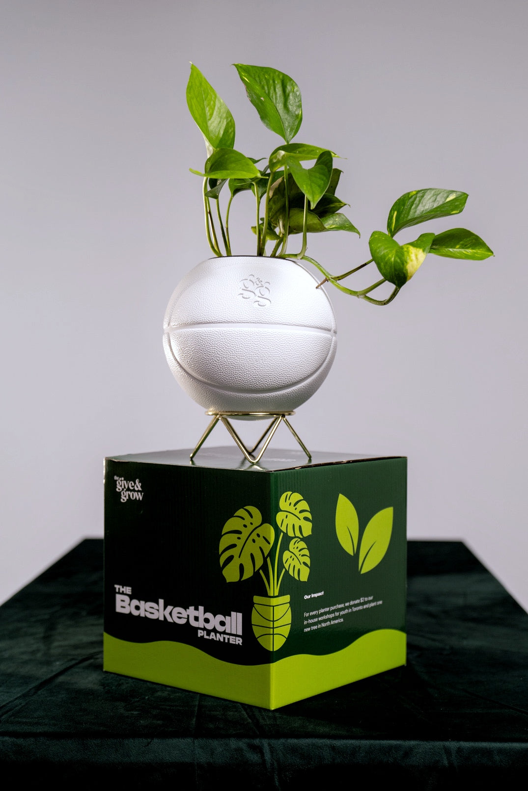 The Basketball Planter
