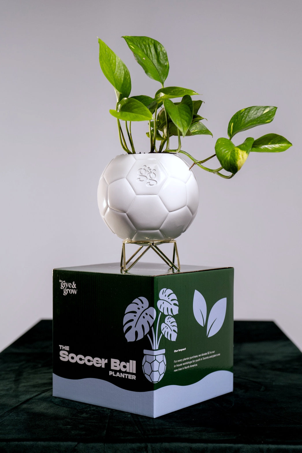 The Soccer Ball Planter