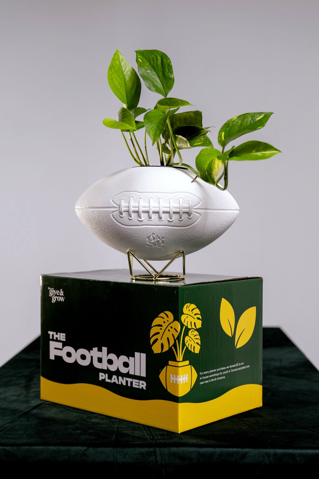The Football Planter
