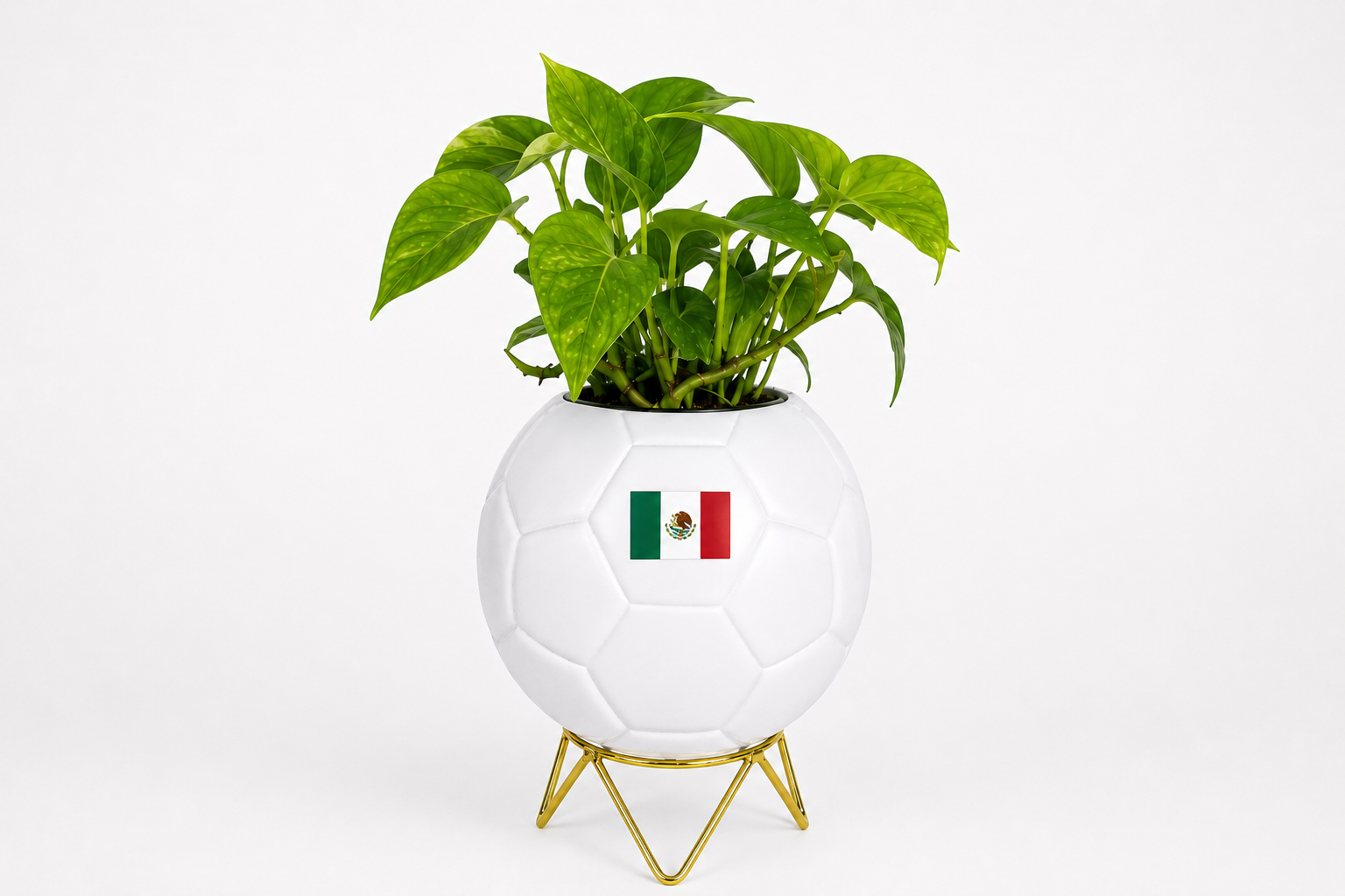 The Host City Planter
