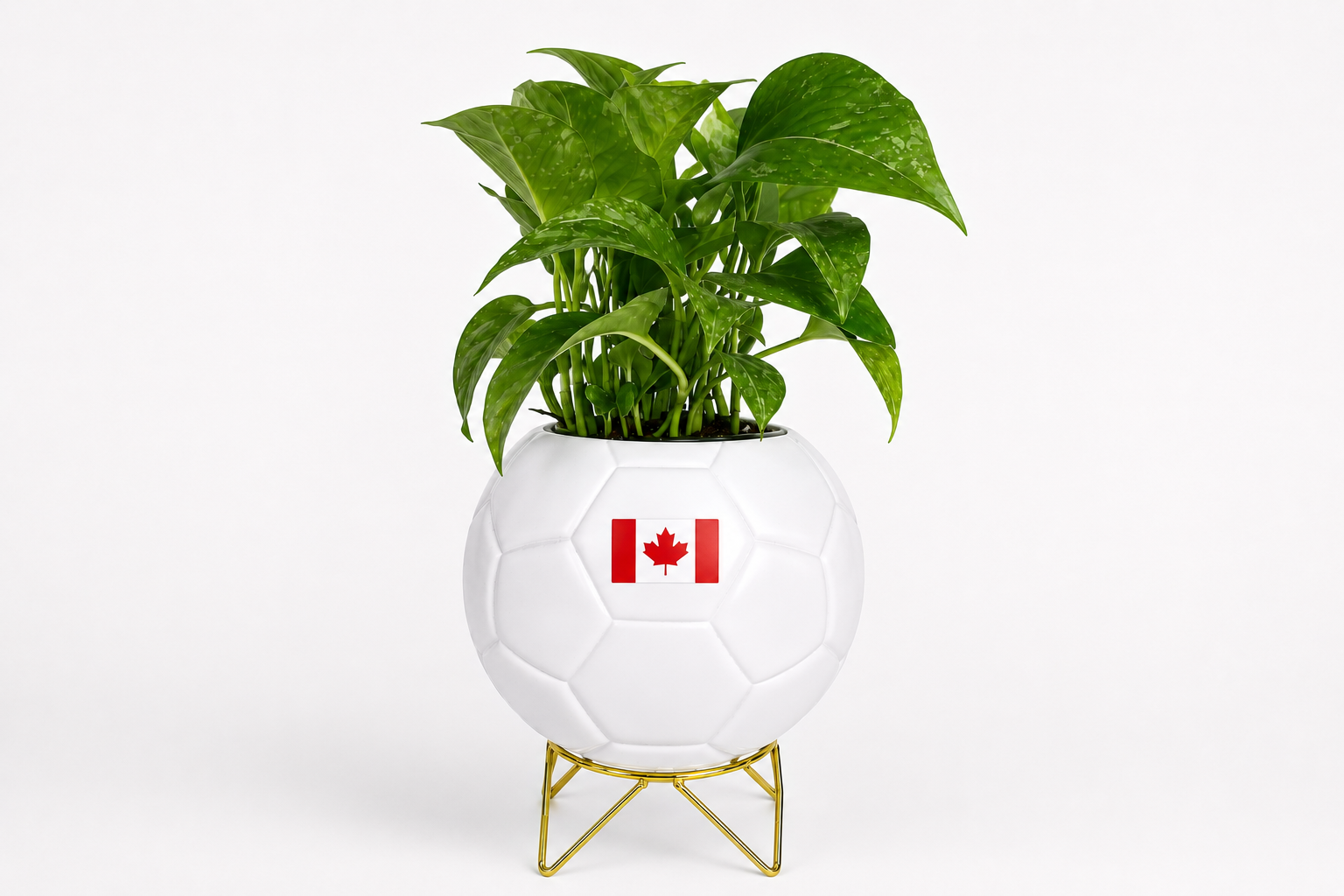 The Host City Planter