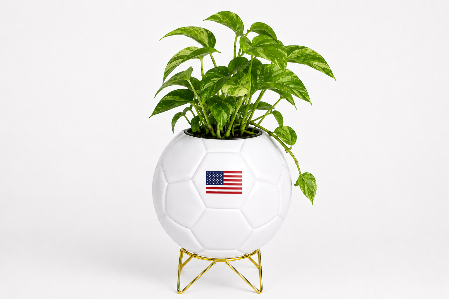 The Host City Planter