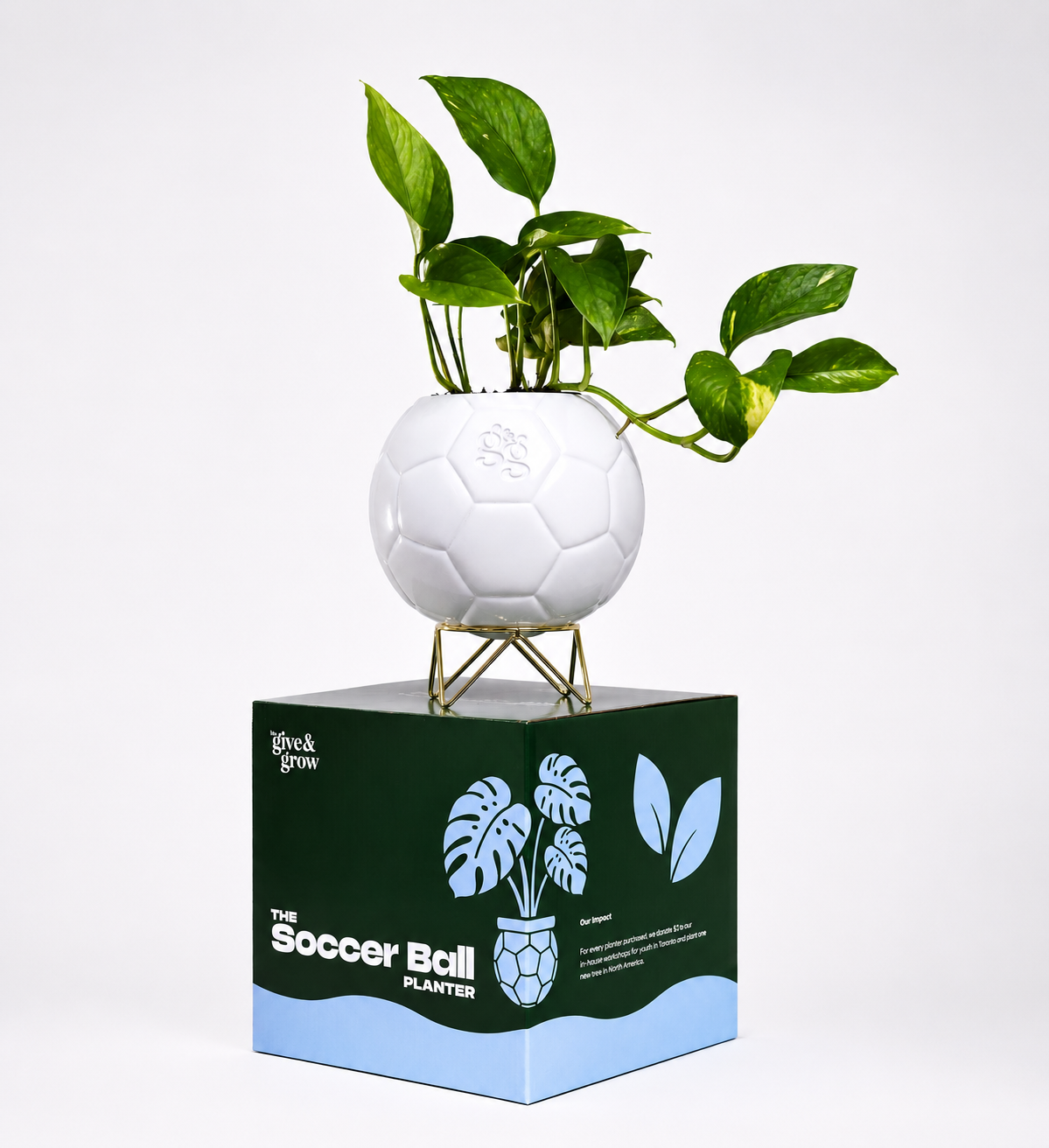 The Host City Planter