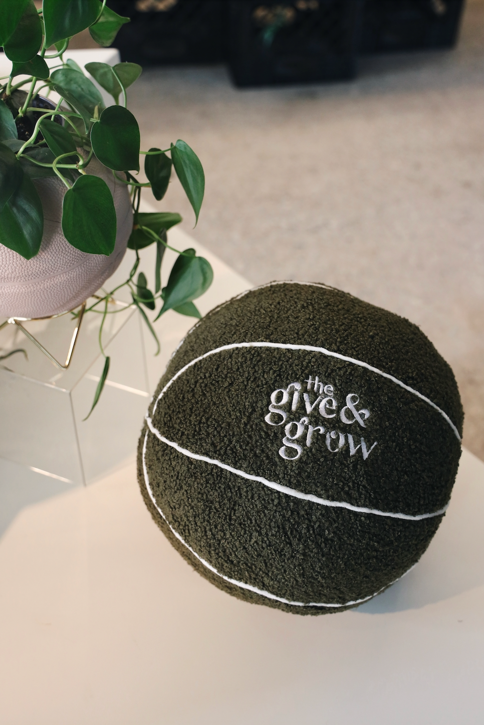 The Give and Grow Pillow