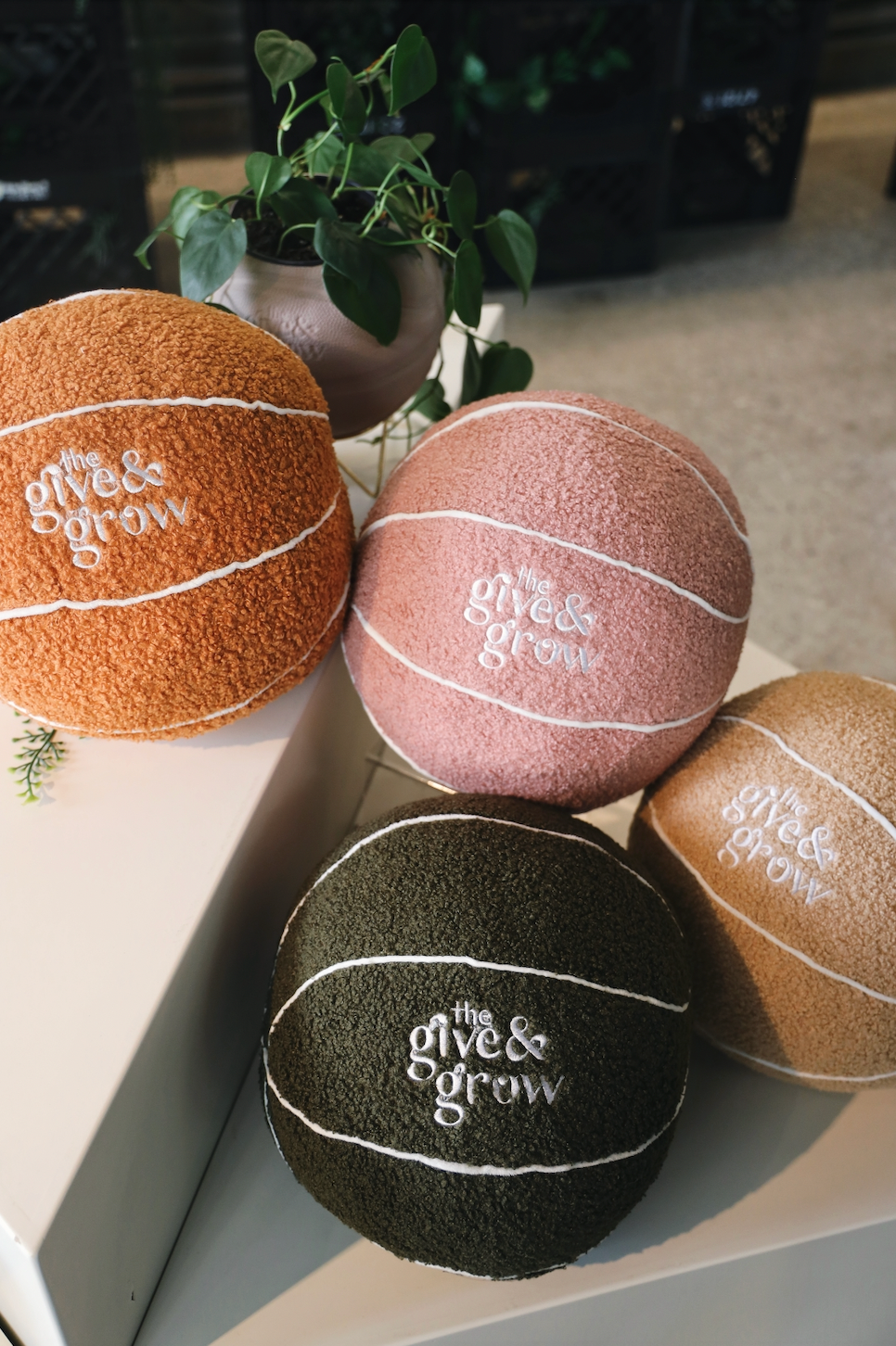 The Give and Grow Pillow