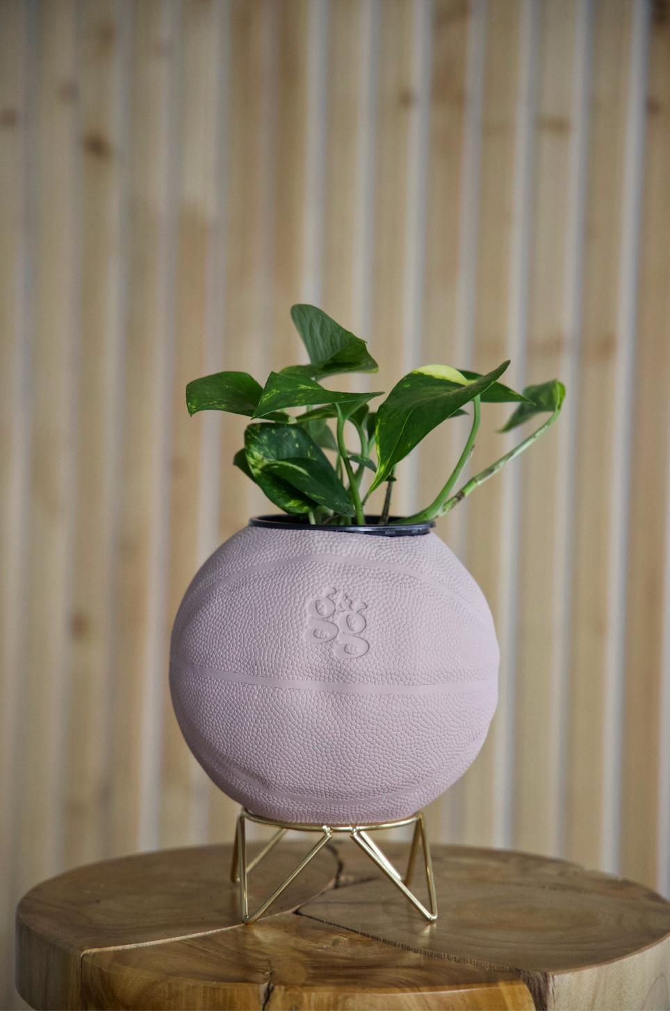 The Brown Planter