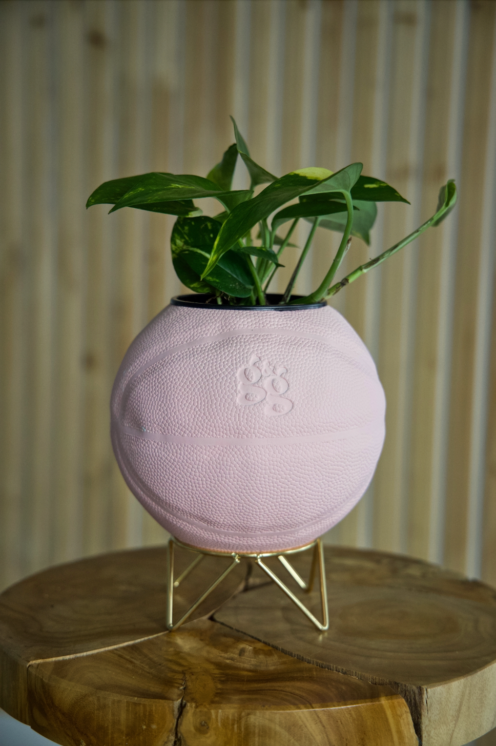 The Pink Planter