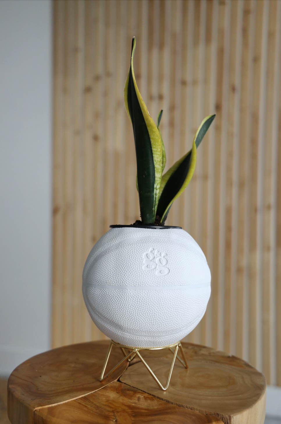 The White Planter